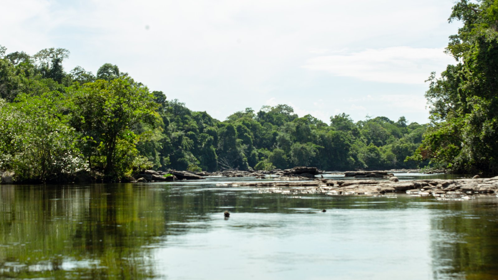 Rio Jari Amazon river
